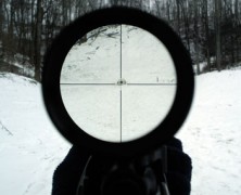 Why I Hunt